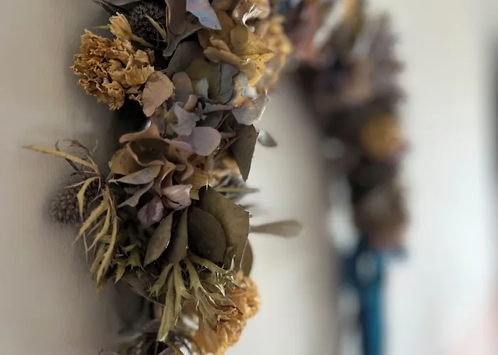 Le Finestre Sul Pensjonat Cesenatico